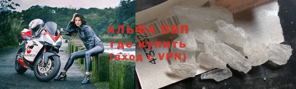 стаф Абинск