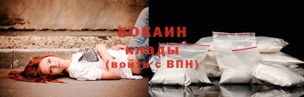 стаф Абинск