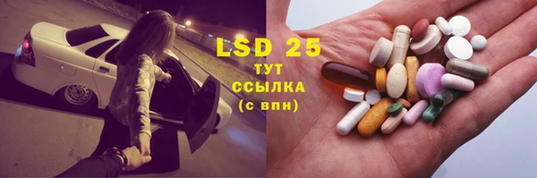 стаф Абинск