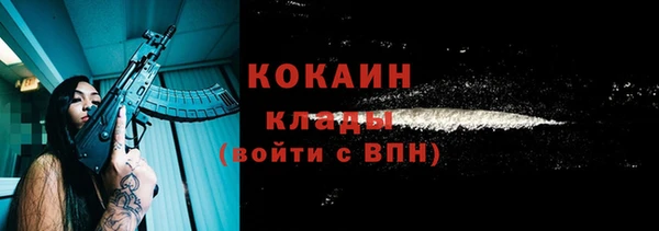 стаф Абинск
