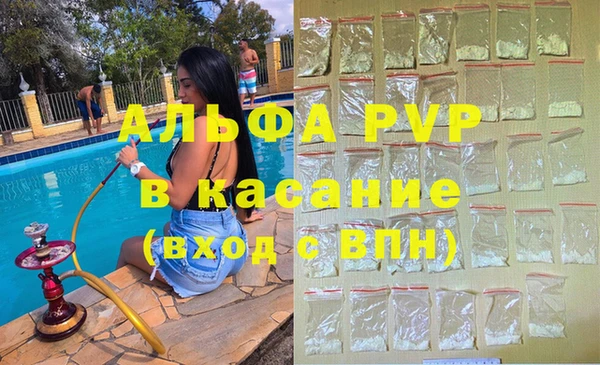 стаф Абинск