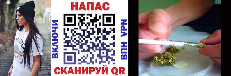 блэк спрут как зайти Лодейное Поле Бошки Шишки THC 21%